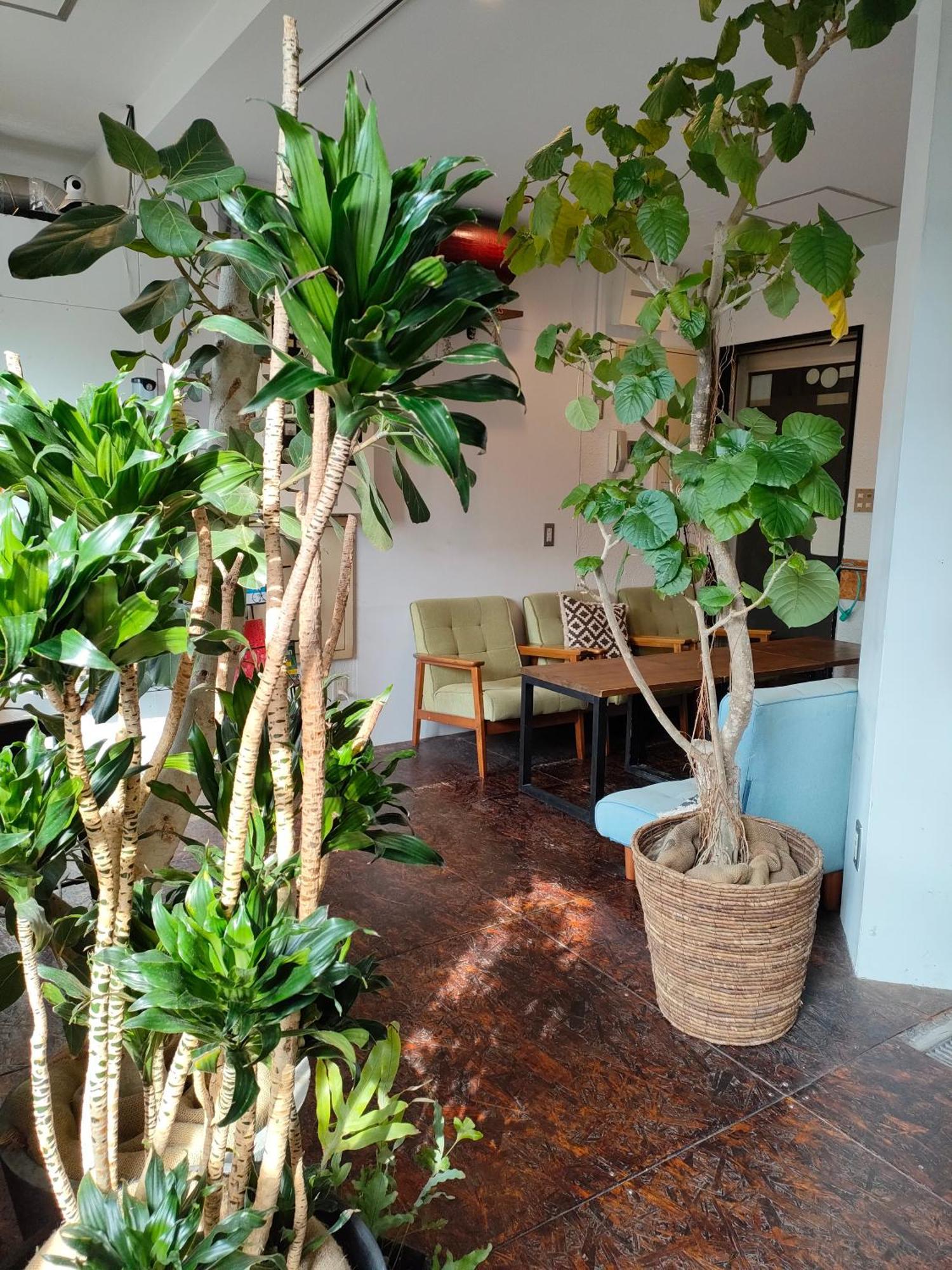 Tokyo Guest House Ouji Music Lounge מראה חיצוני תמונה